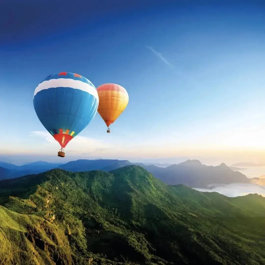 Deux montgolfières en vol