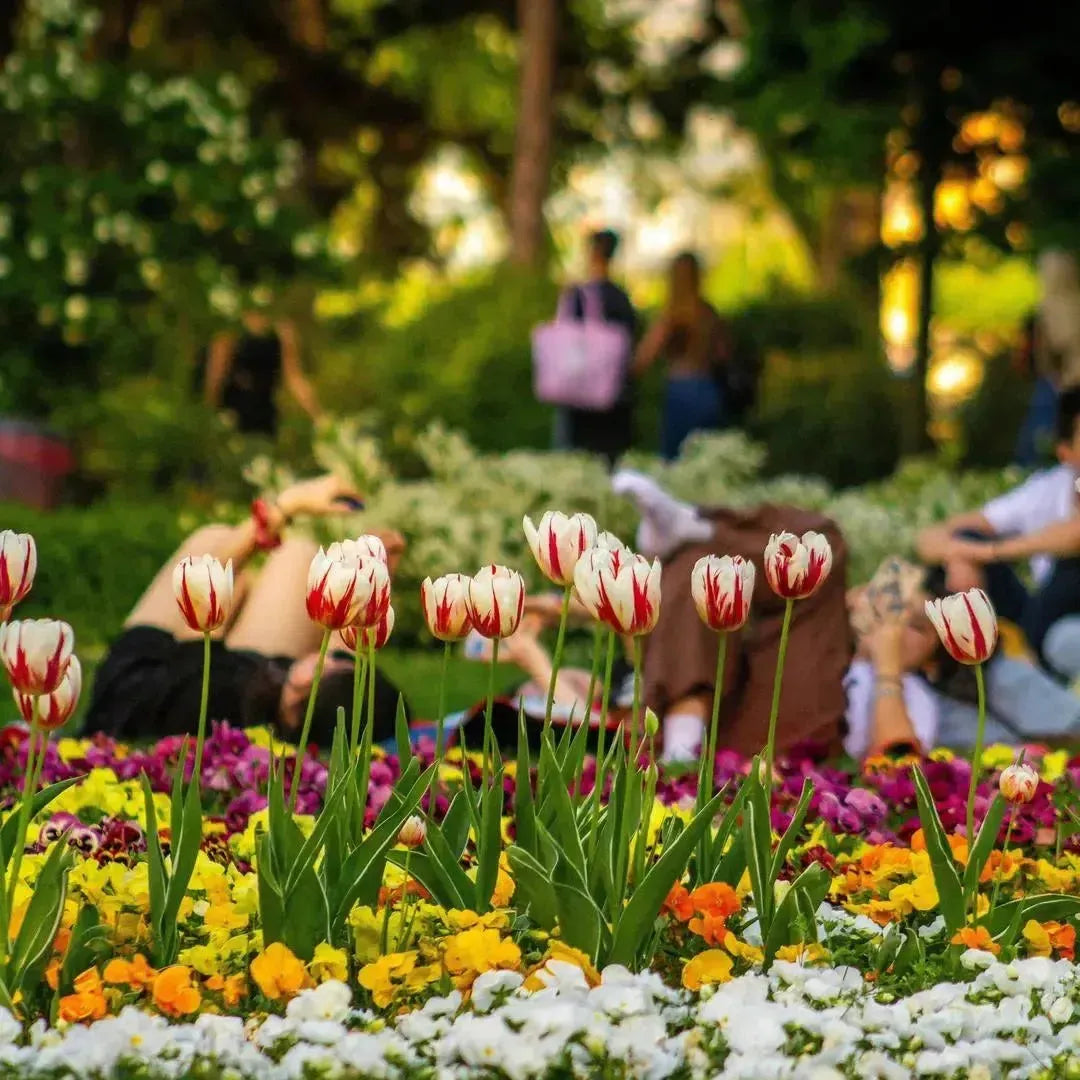 Celebrate la Primavera: i nostri cofanetti regalo Soggiorni e Tempo Libero da regalare