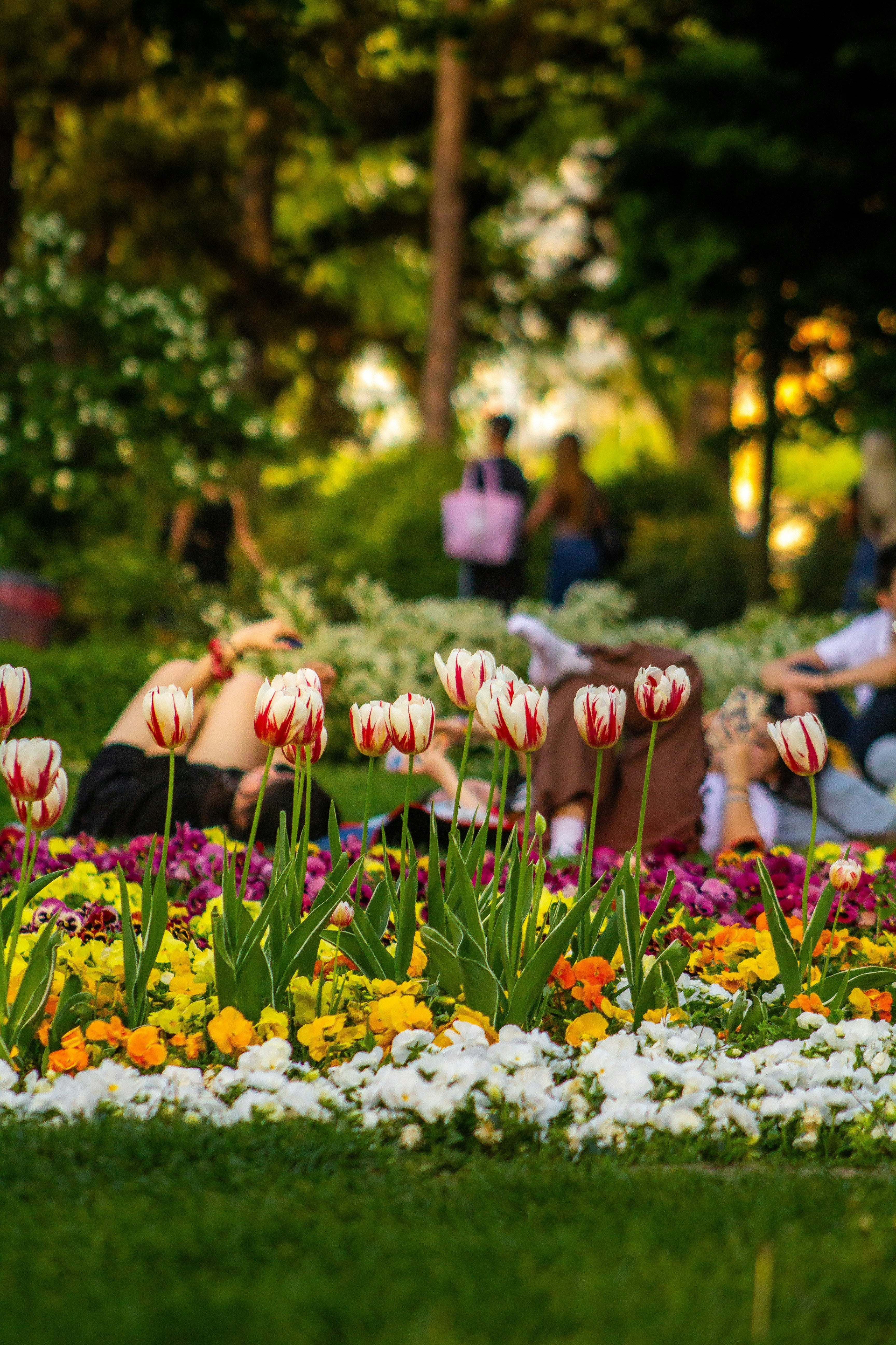 Celebrate la Primavera: i nostri cofanetti regalo Soggiorni e Tempo Libero da regalare