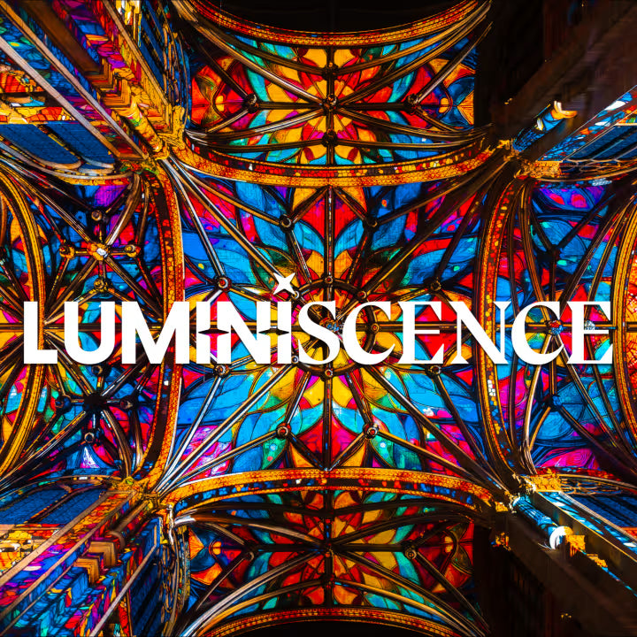 Coffret cadeau : Spectacle son et lumière