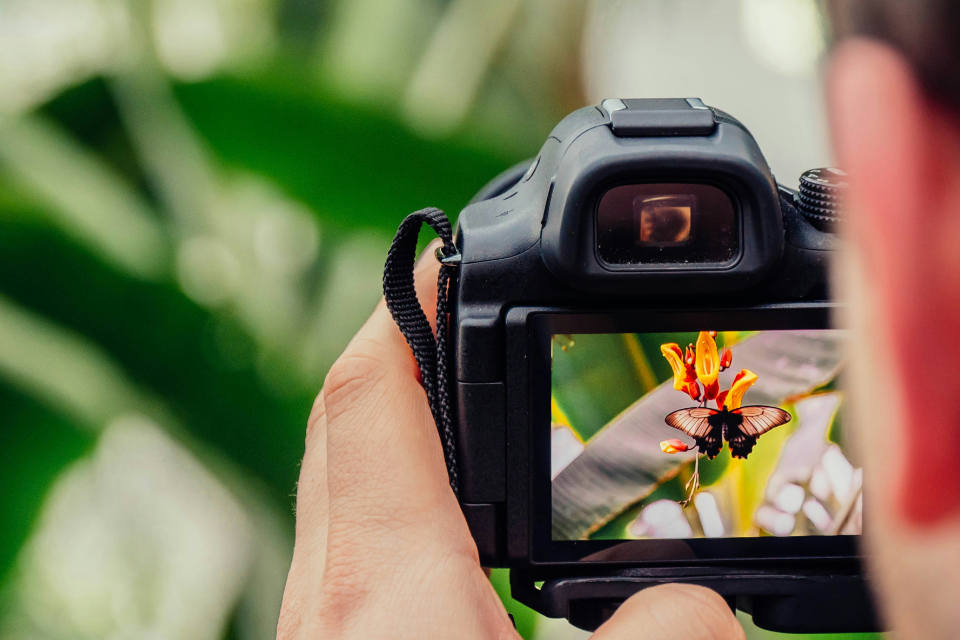 Coffret cadeau : Cours de photographie