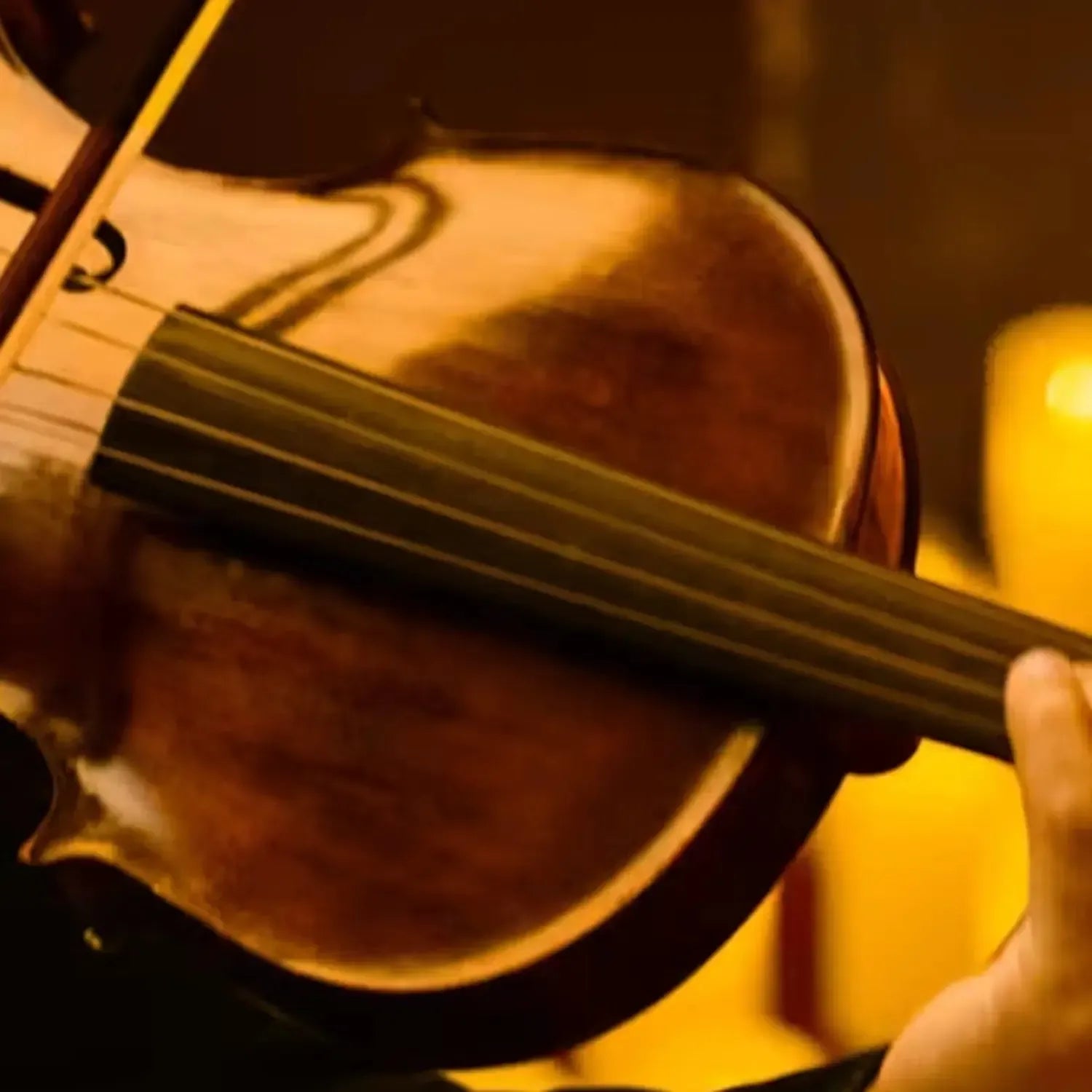Cofanetto regalo: Attività culturali e immersive a Firenze 80€