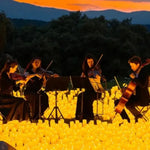 Cofanetto regalo: concerti Candlelight a Palermo 60€