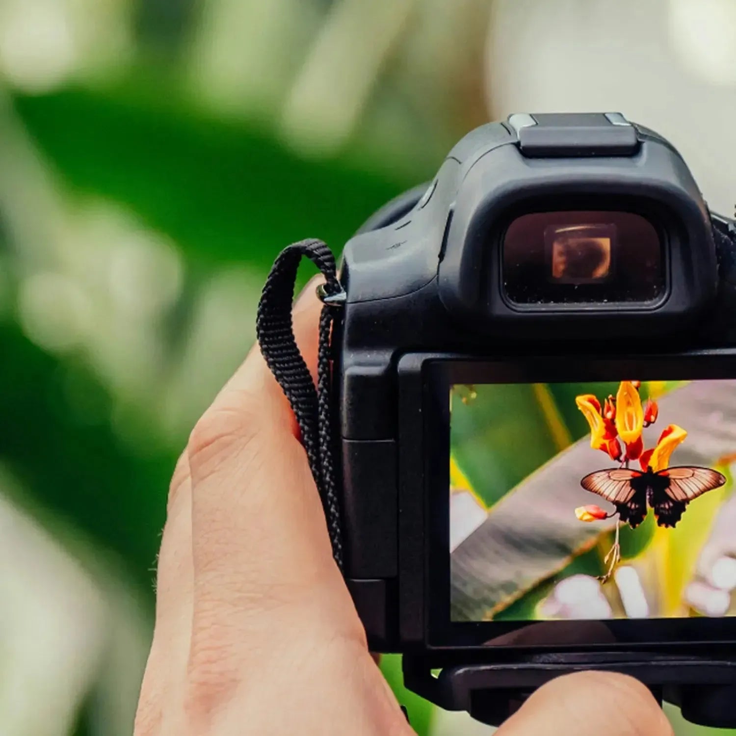 Coffret cadeau : Cours de photographie 