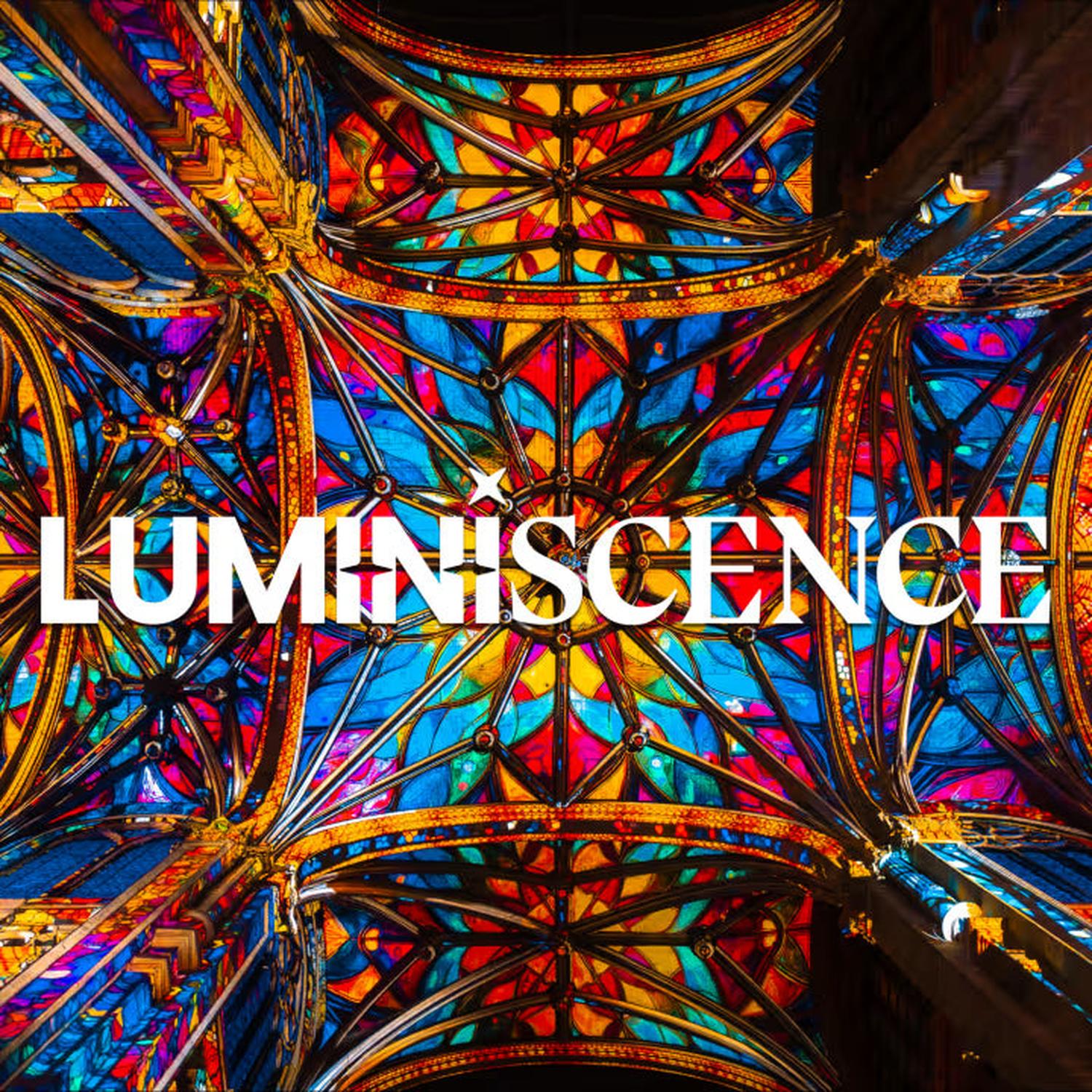 Coffret cadeau : Spectacle son et lumière 60€