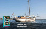 Coffret cadeau : insolite en bord de mer 