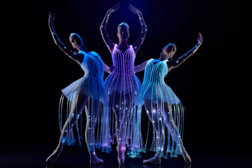 Cofanetto regalo: Attività culturali e immersive a Torino