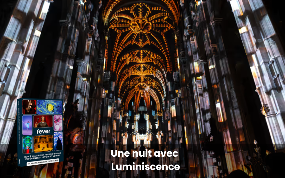 Coffret cadeau : Spectacle son et lumière